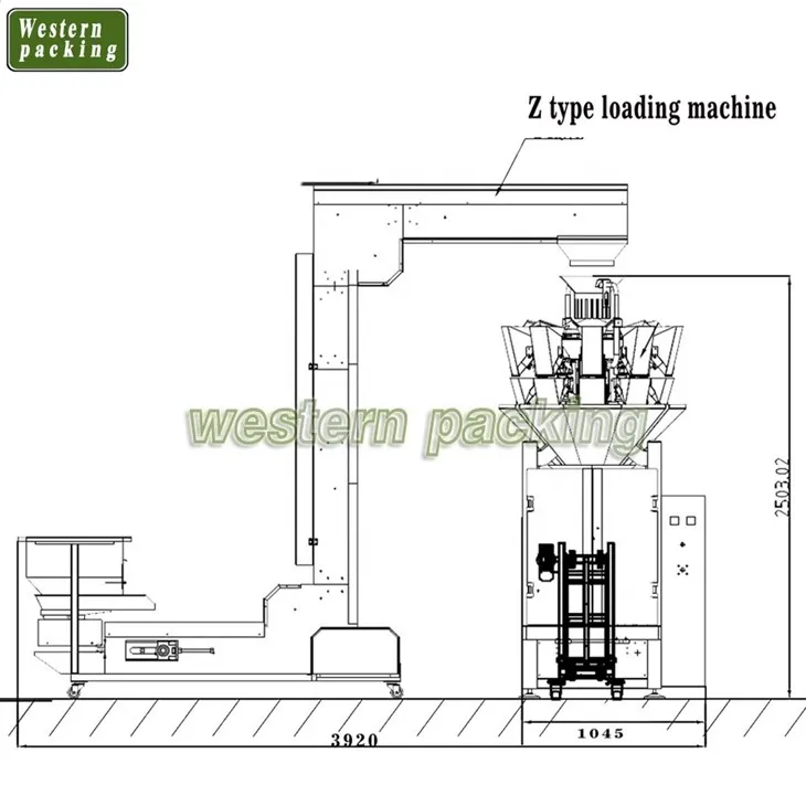 dried fruit packaging machine