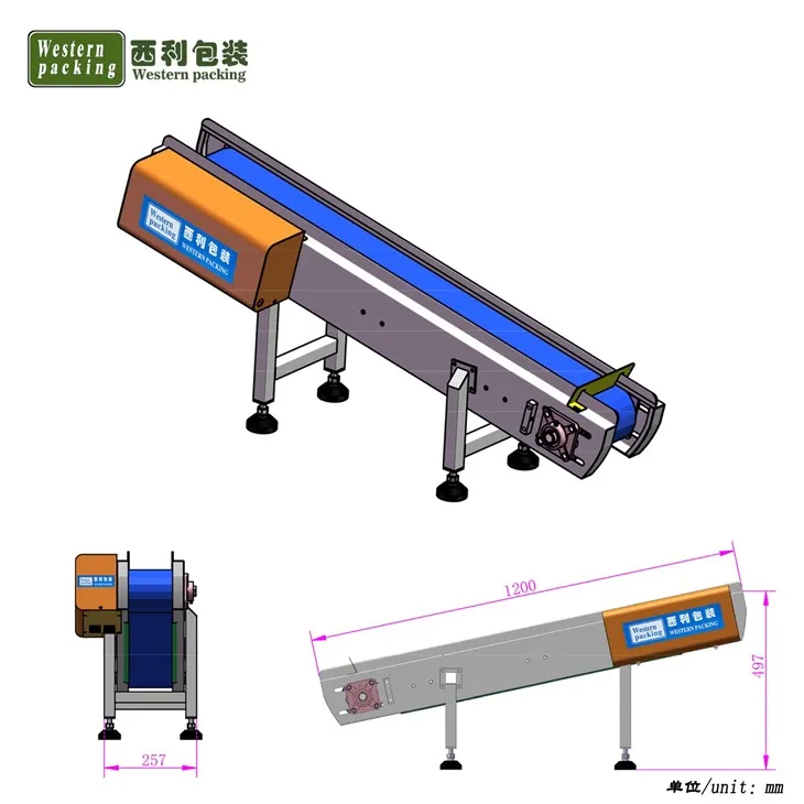 small conveyor belt system