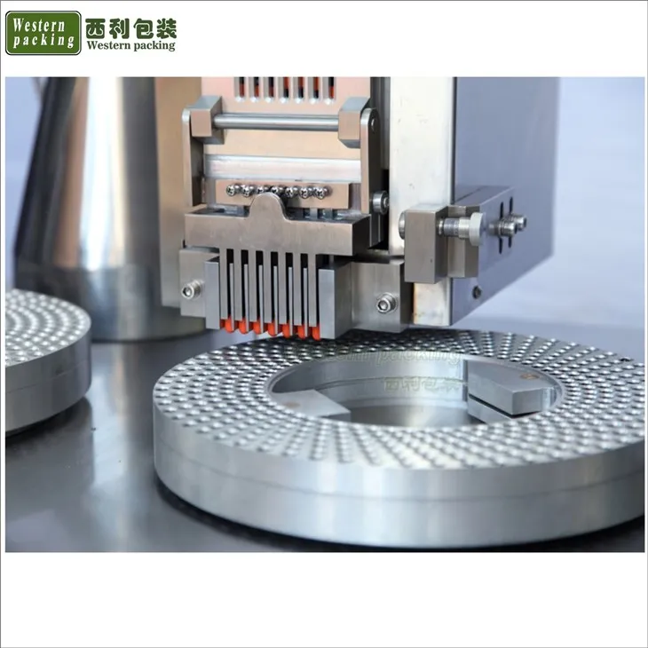 capsule powder filling machine automatic