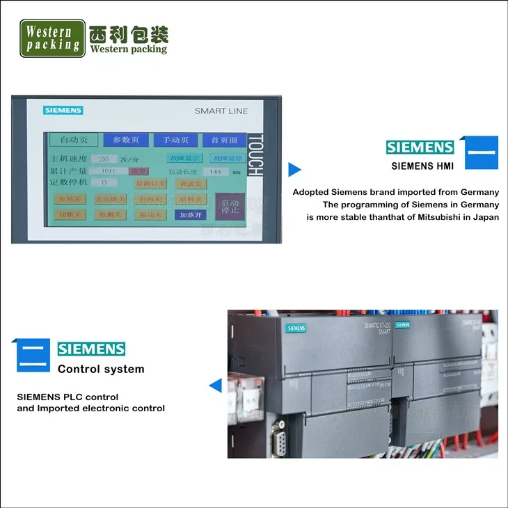 masala packing machine